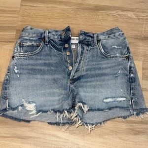 AGOLDE- Parker Vintage Cut Off  Denim Short